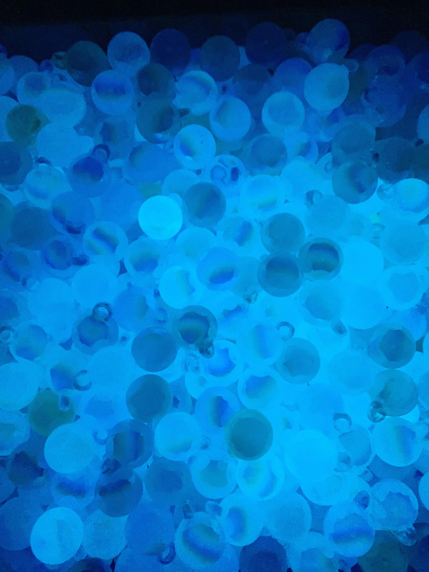 7-AK 人魚姫 夜光効果 カンツキ