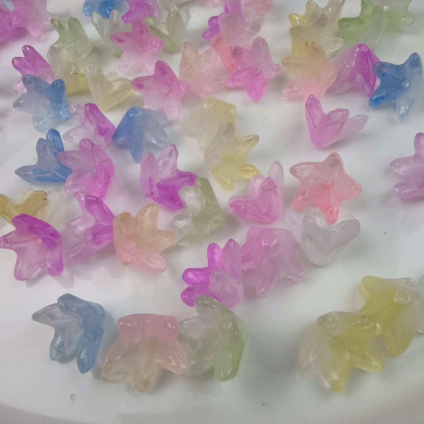 0 0今日新作 お花 ガラス(0213)