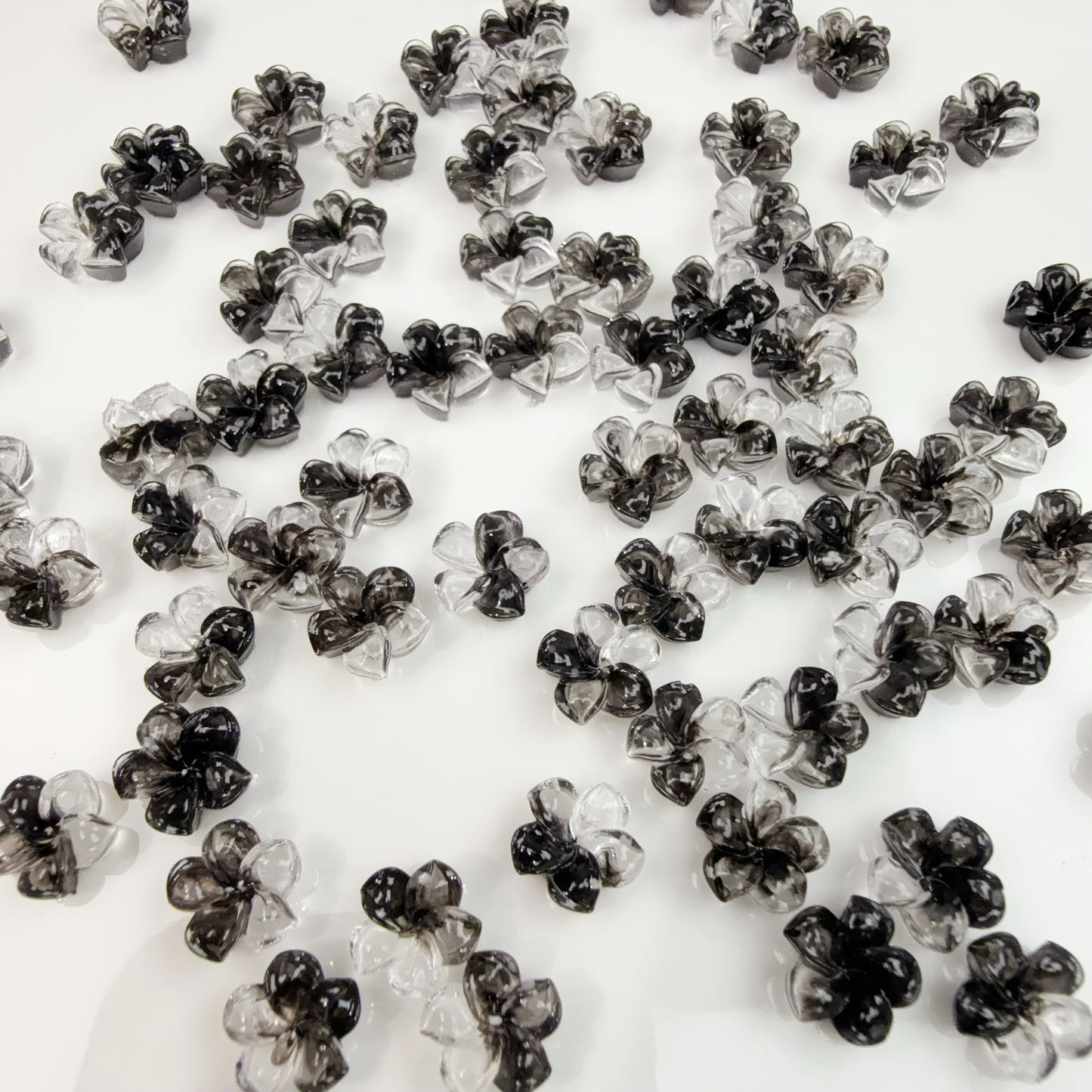 0 0今日新作 プルメリア (0227)