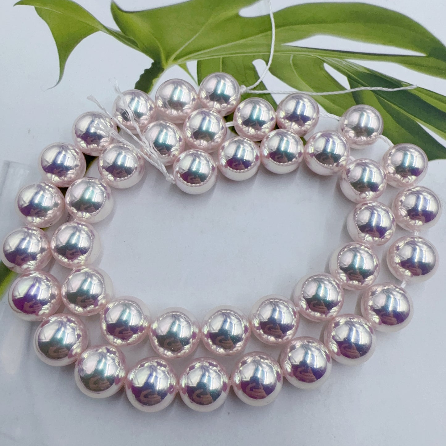 0 0今日新作  超高品質 AK級天女パール（0904）