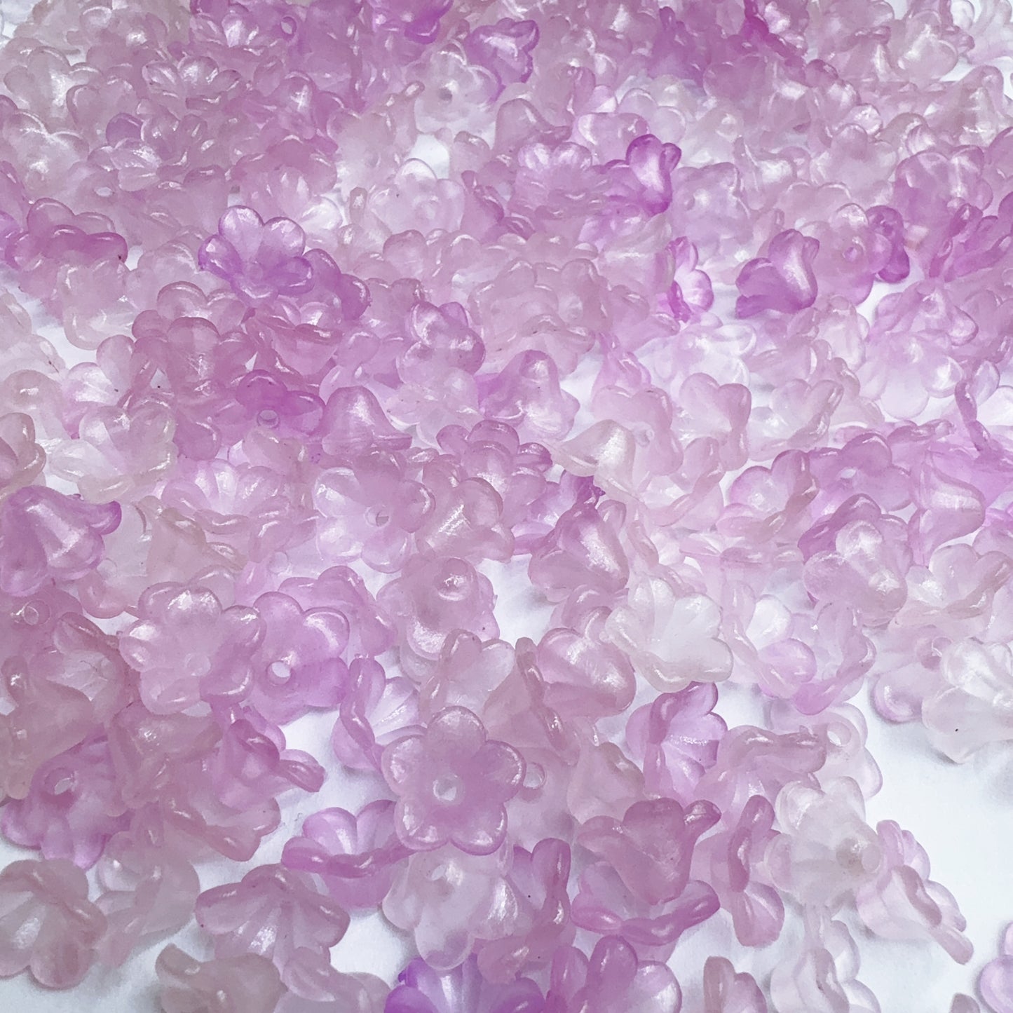 0 00在库処分ゾーン（0124）