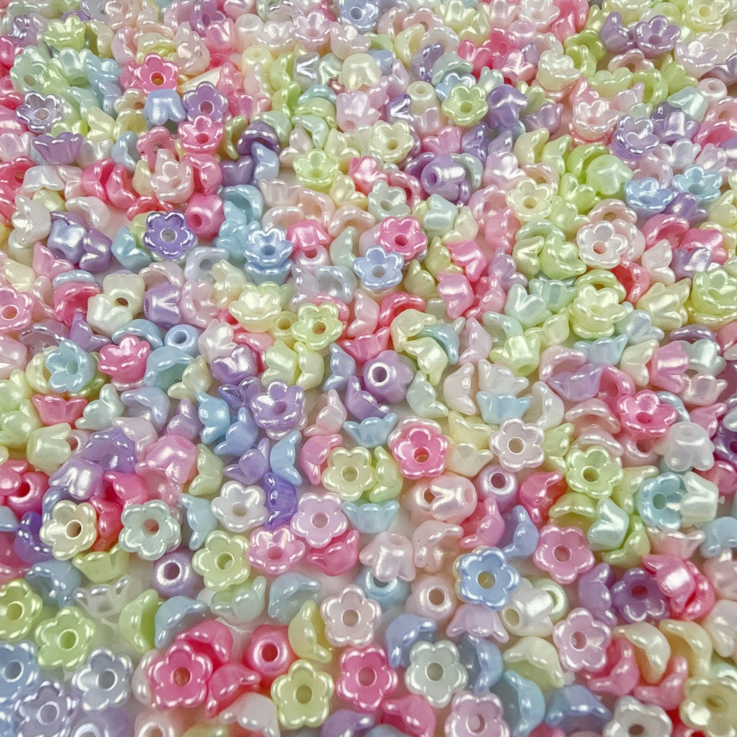 0 0今日新色 今日限定特価 チビお花(0209)