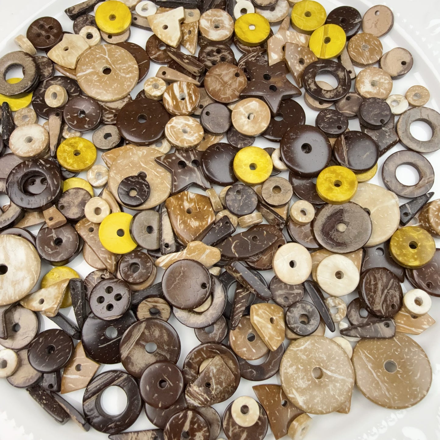 0 0今日新作 ココナッツの殻(0716)