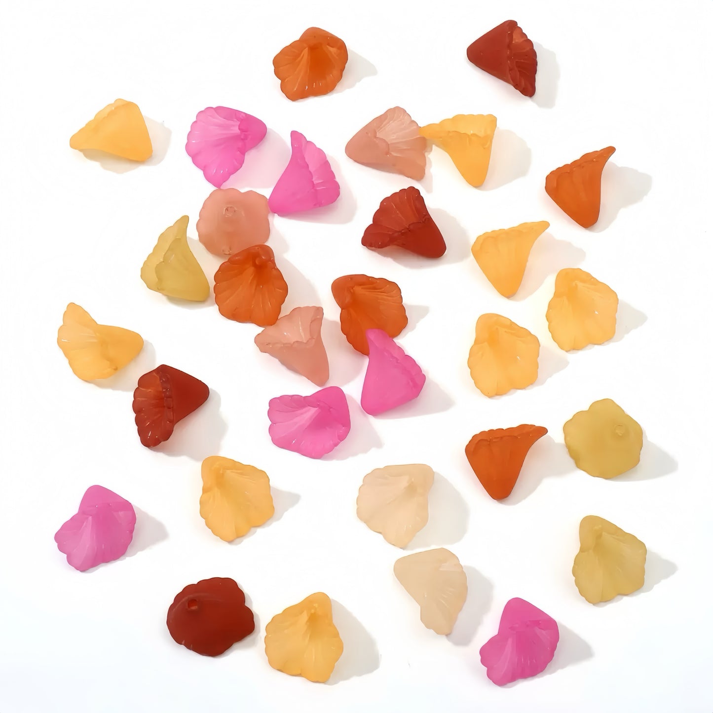 0 0今日新作 サンスベリア (0209)