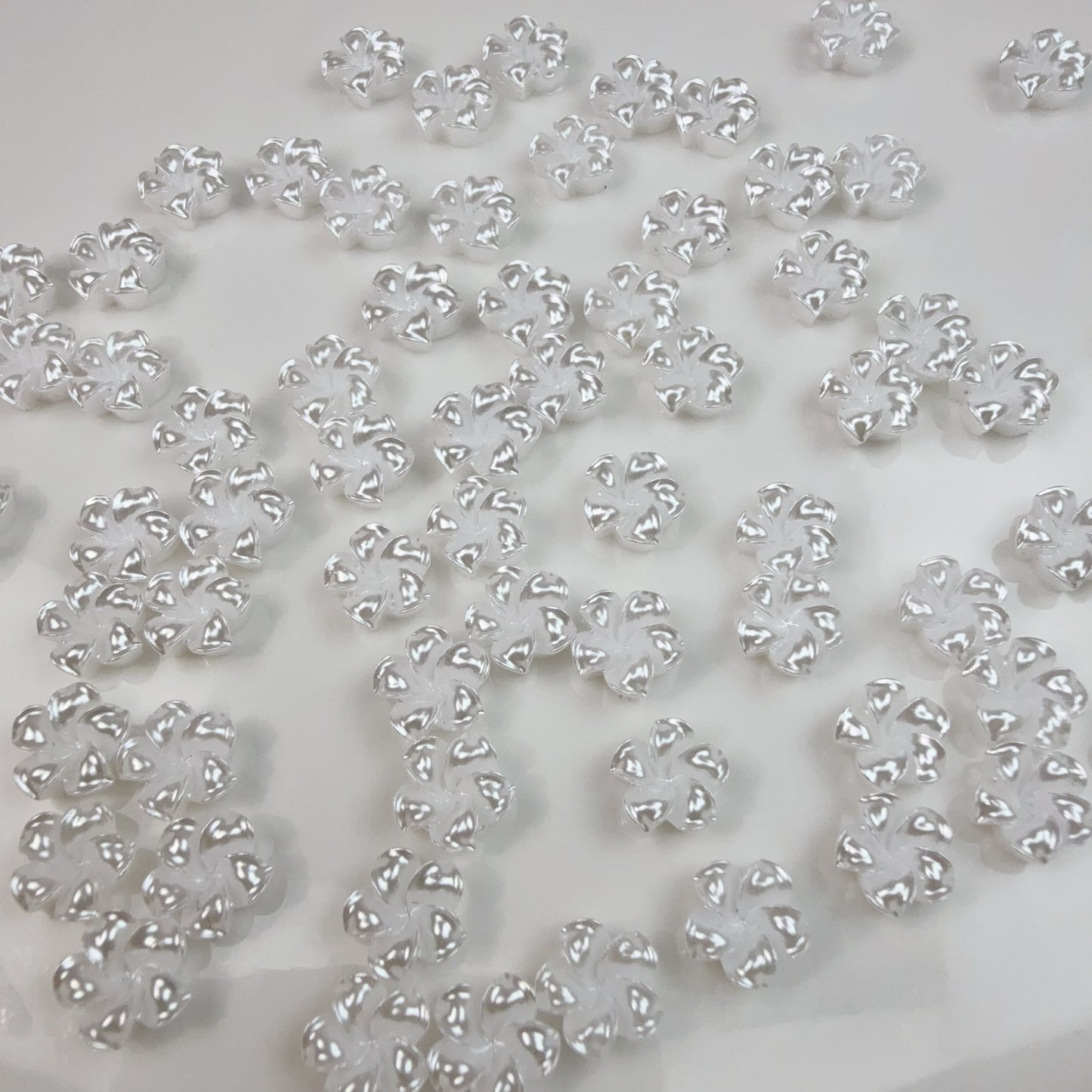 0 0今日新作 プルメリア (0227)