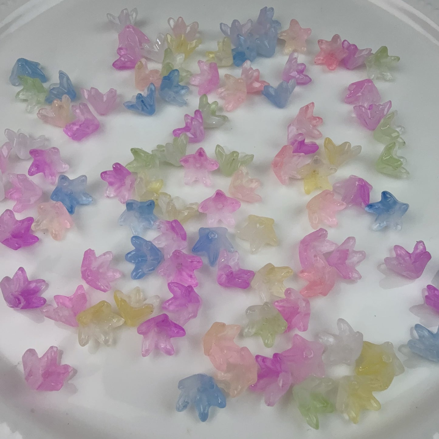 0 0今日新作 お花 ガラス(0213)