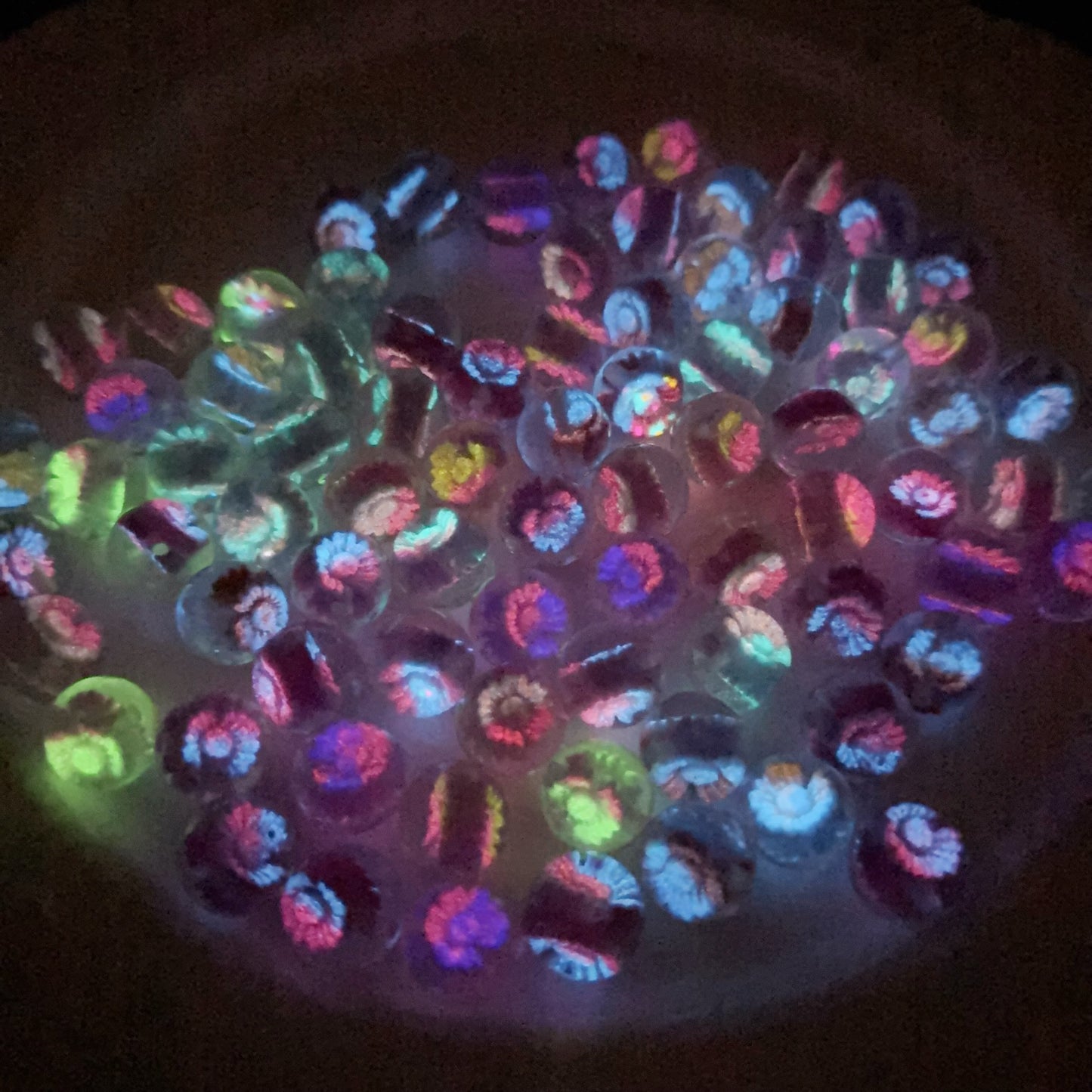0 0今日新作 手作りマーガレット樹脂ビーズ  色チェンジ 夜光効果(1217)