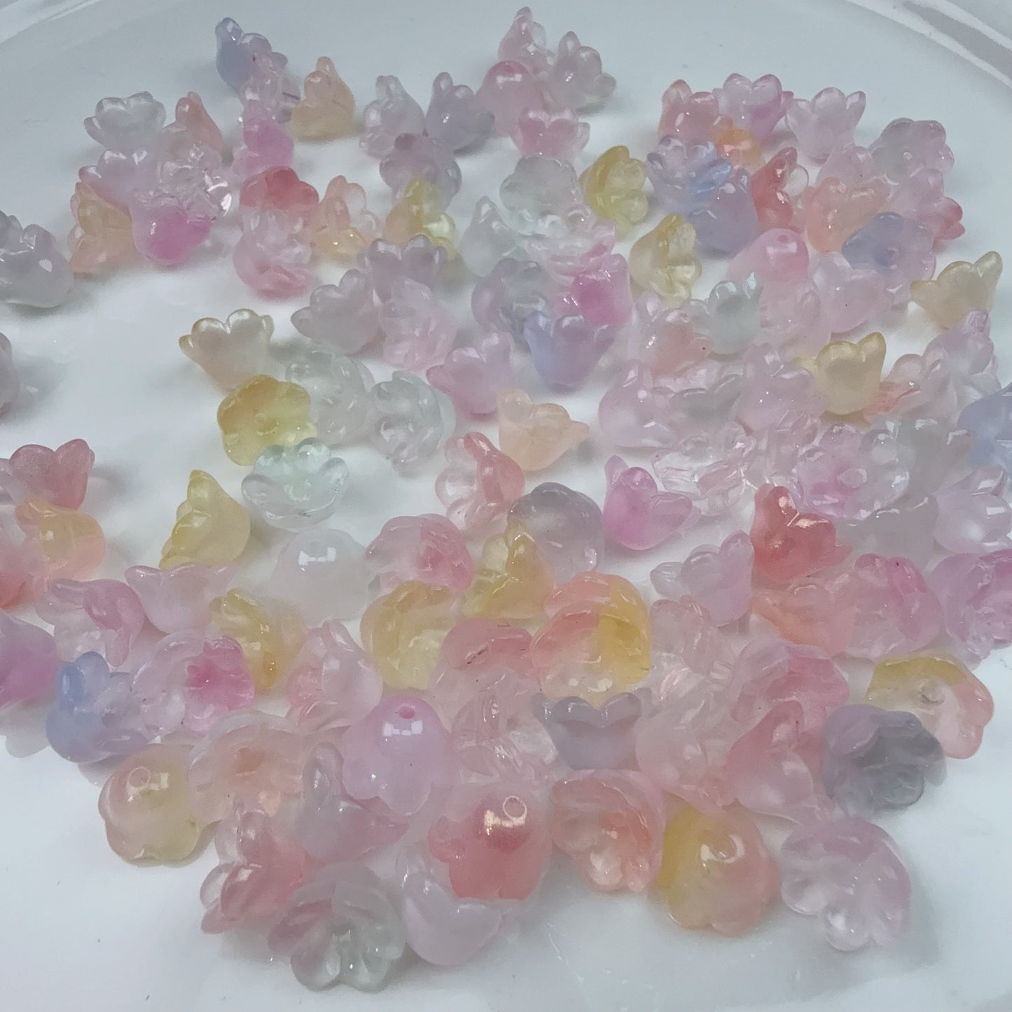 0 0今日新作 鈴蘭（0928）