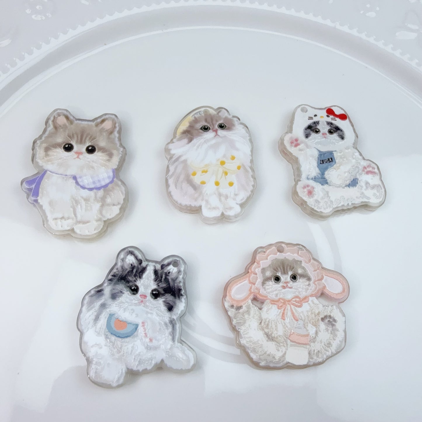 0 0トレー 商品 在庫処分(0609)