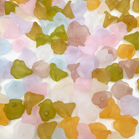 0 0今日新作 サンスベリア 大きい方(0309)