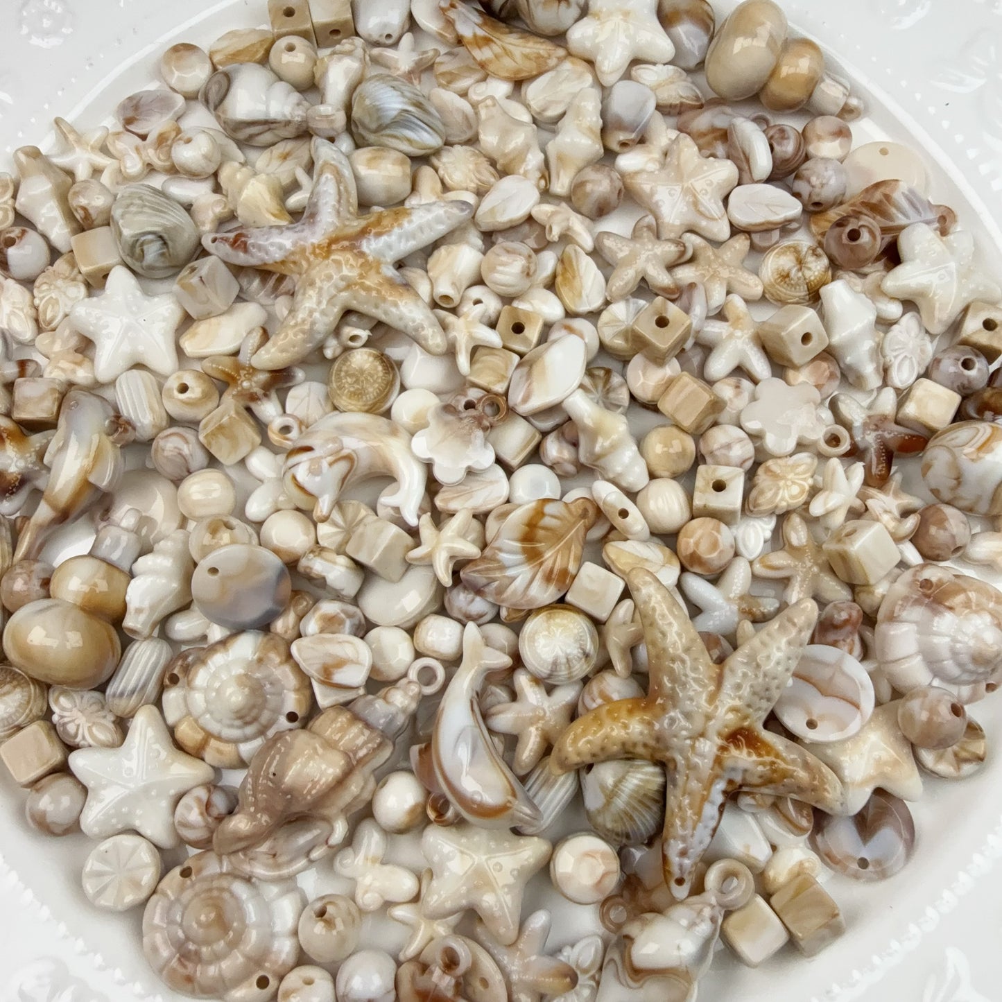 0 0今日新作 海鮮(0617)