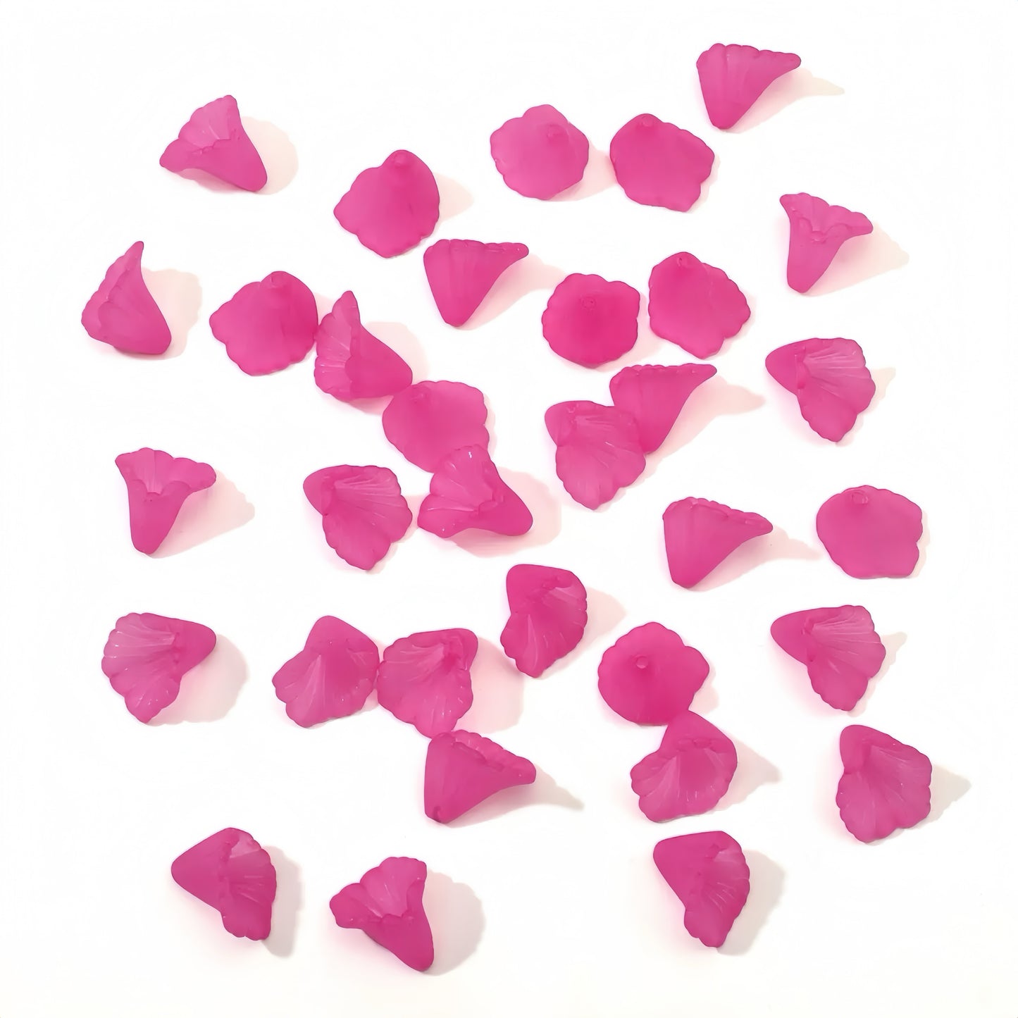 0 0今日新作 サンスベリア (0209)