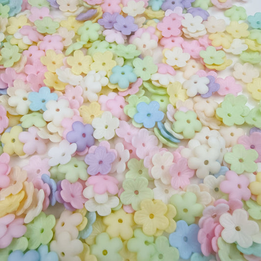 0 0今日新作 マット桜(0309)