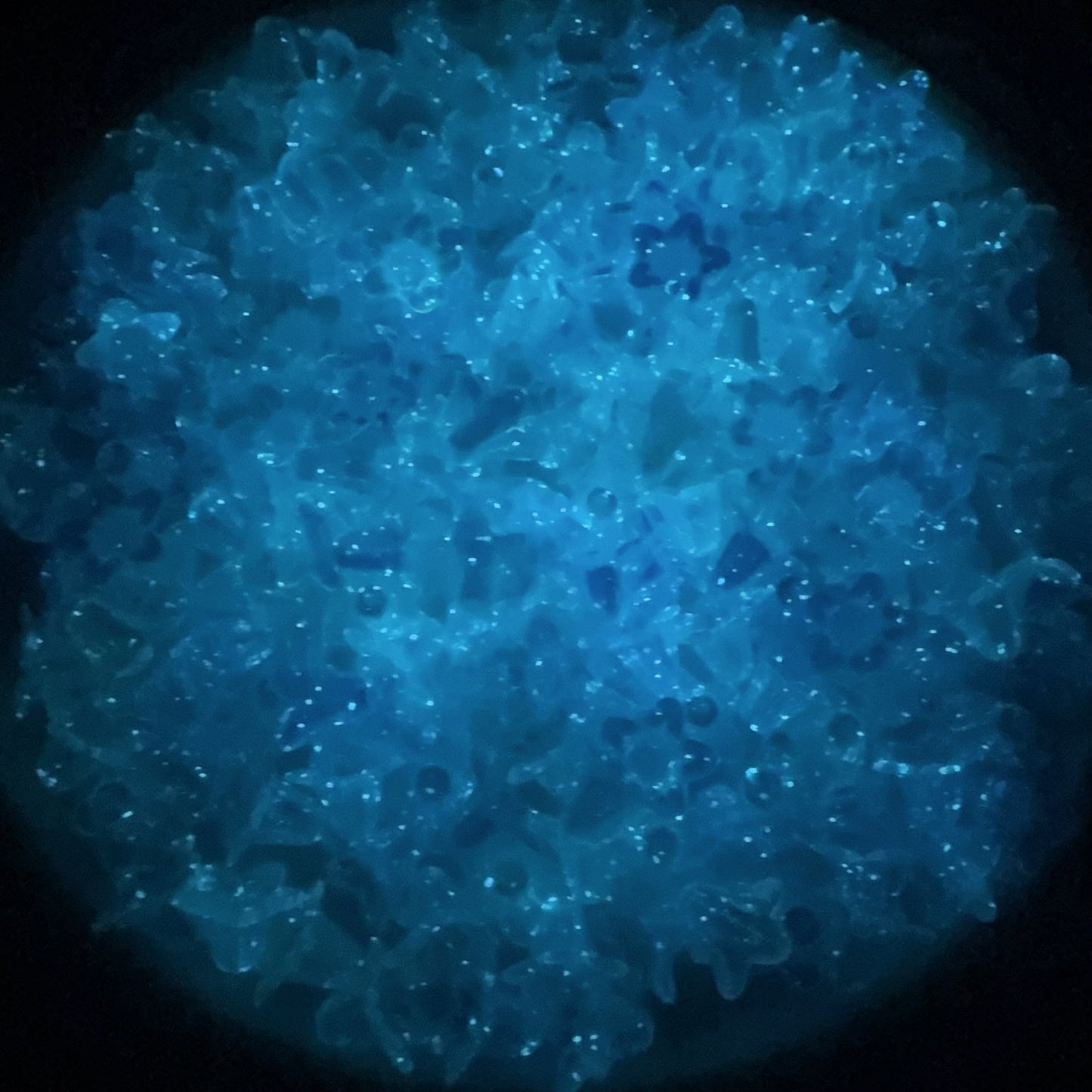 0 0今日新作 夜光効果鈴蘭 アクリル(1003)