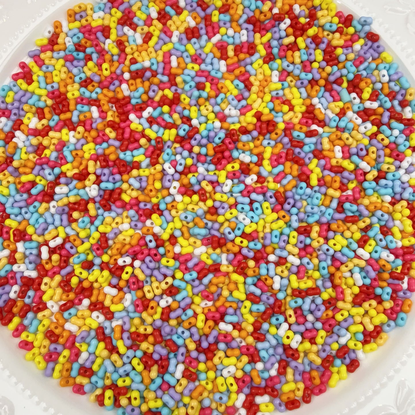 0 0今日新作 カラーピーナッツ (1019)