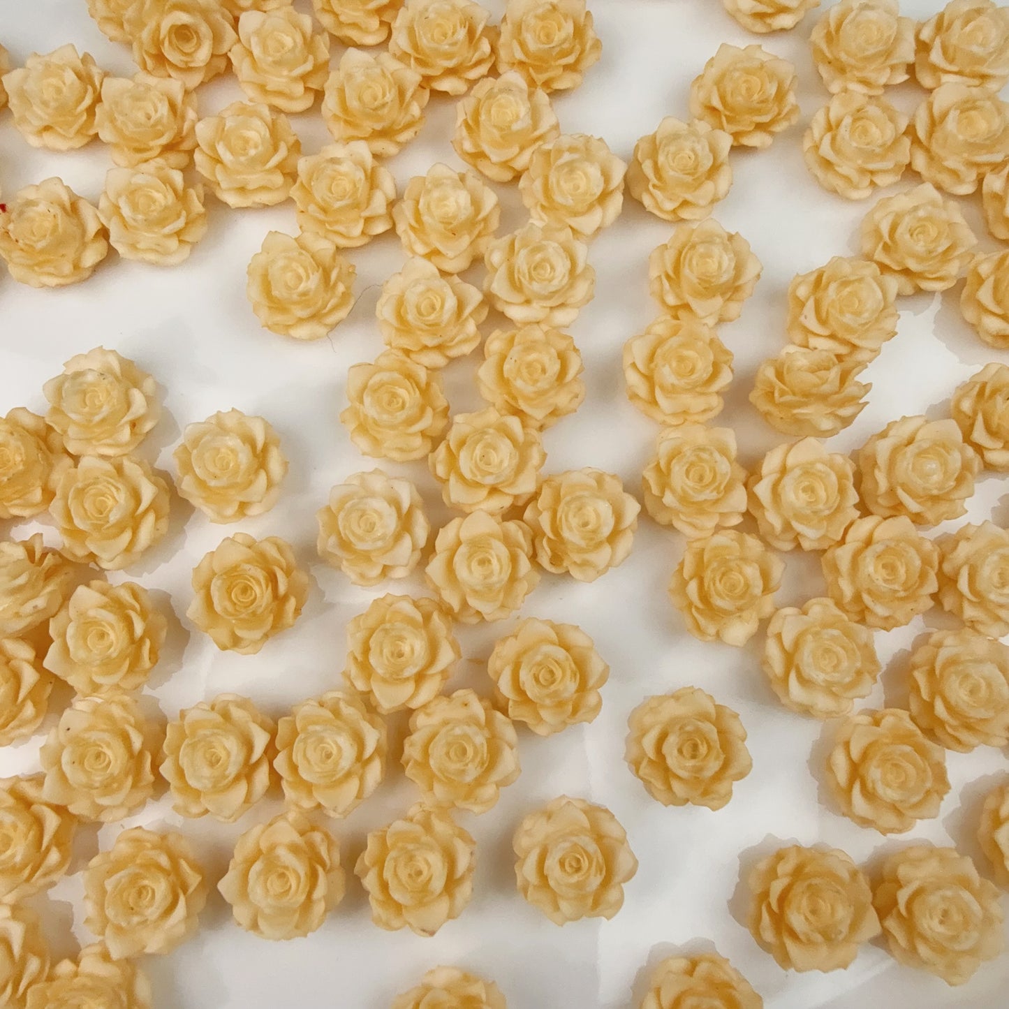 0 0今日新作 柔らかい薔薇-12ミリ 夜光効果(0126)