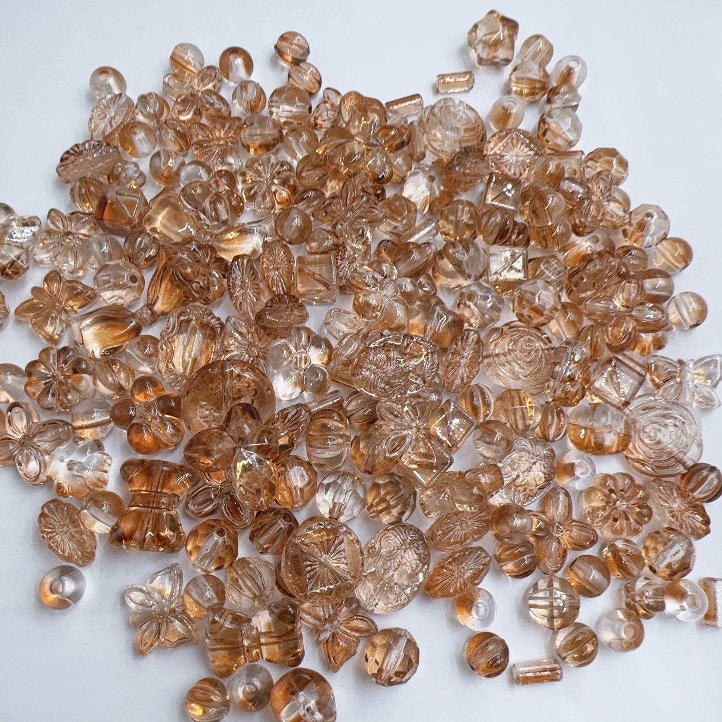 0 00在库処分ゾーン（0124）