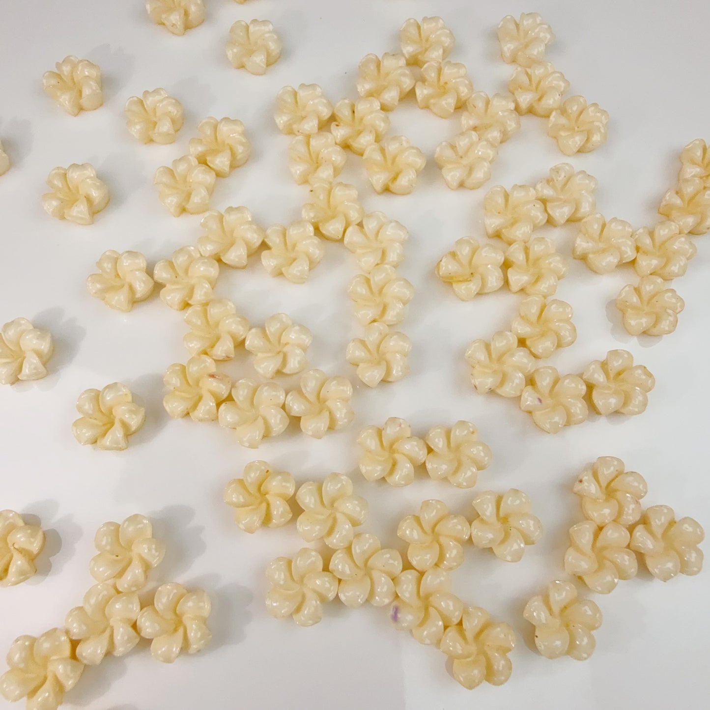 0 0今日新作 プルメリア (0227)