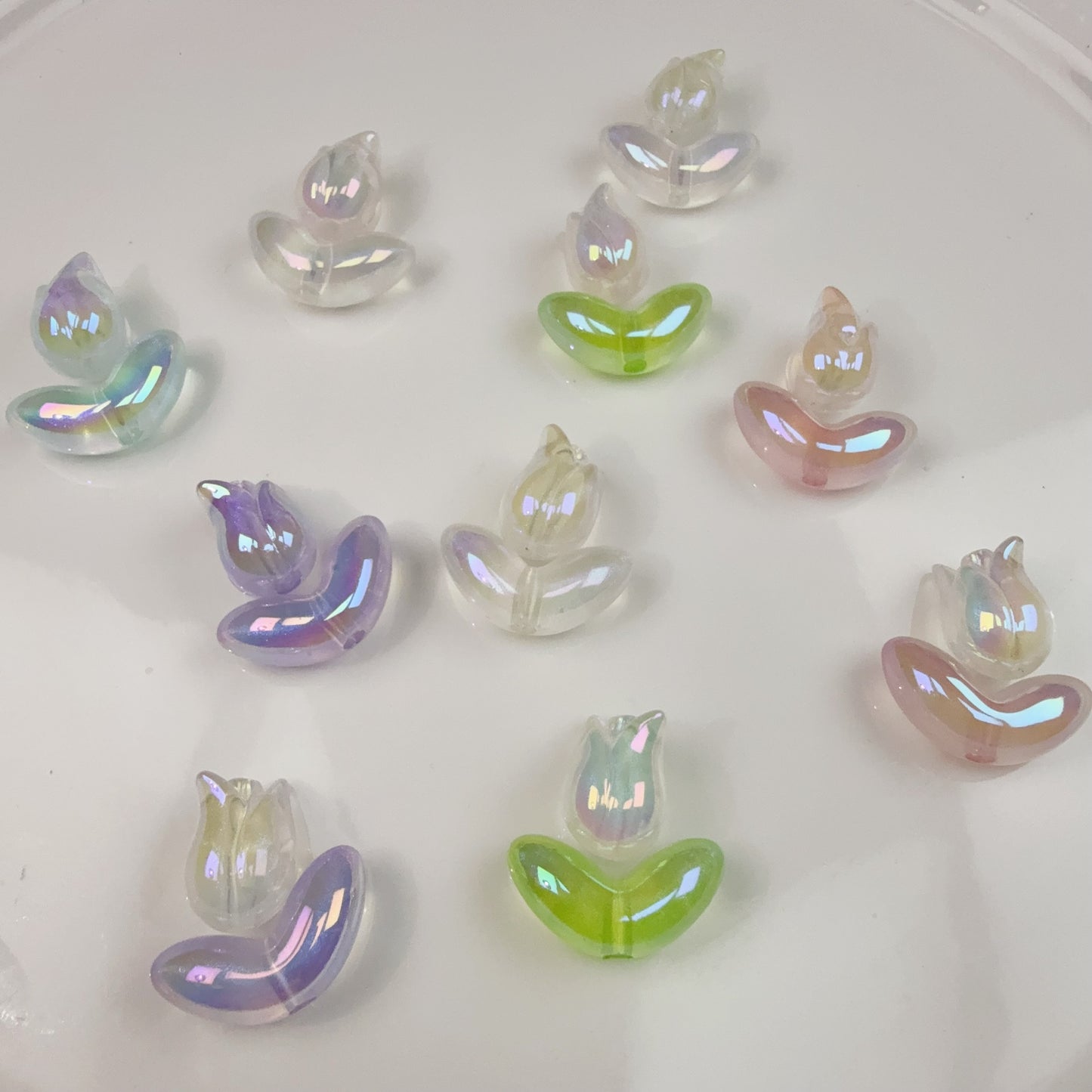 0 0今日新作 チューリップ　夜光効果(1218)