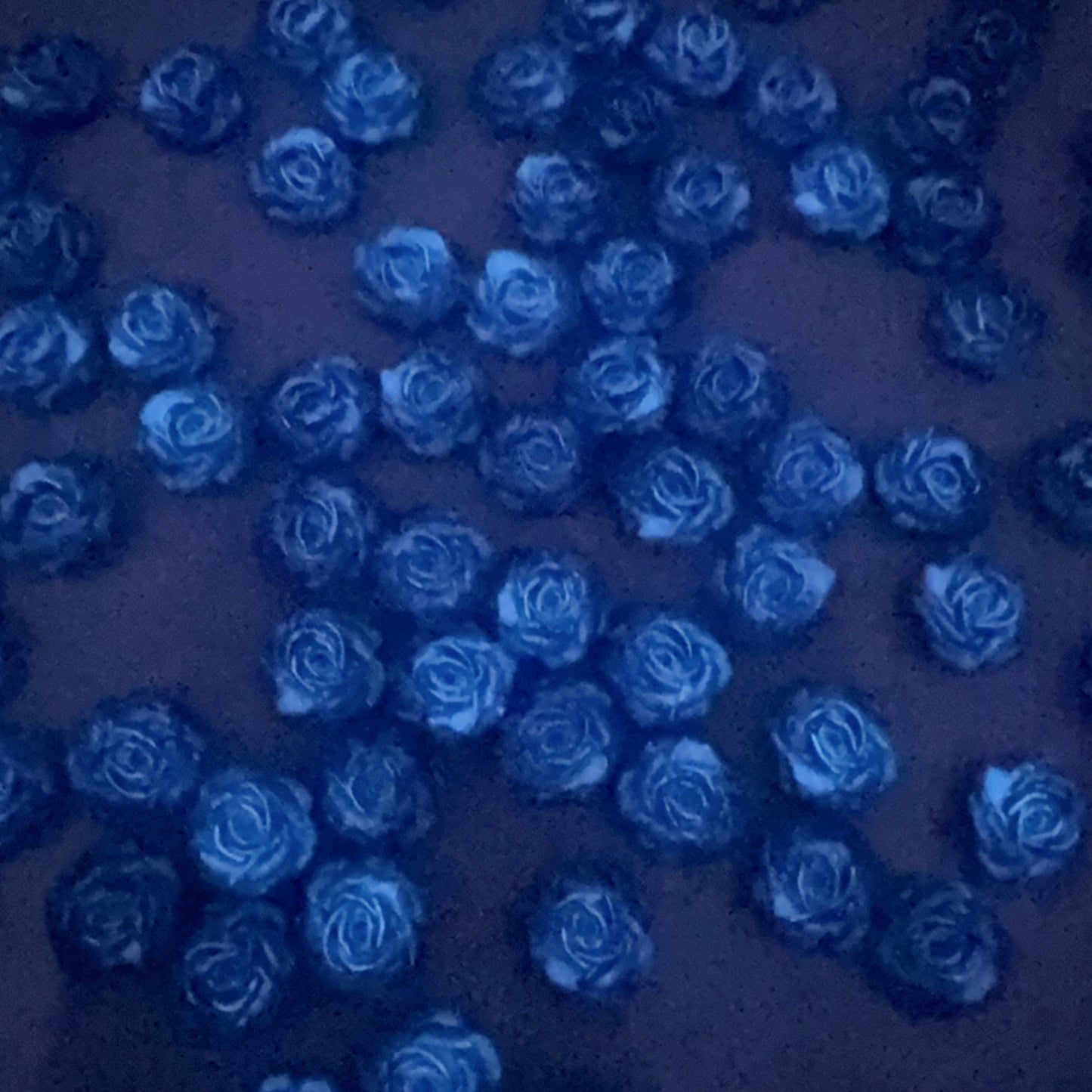 0 0今日新作 柔らかい薔薇-12ミリ 夜光効果(0126)