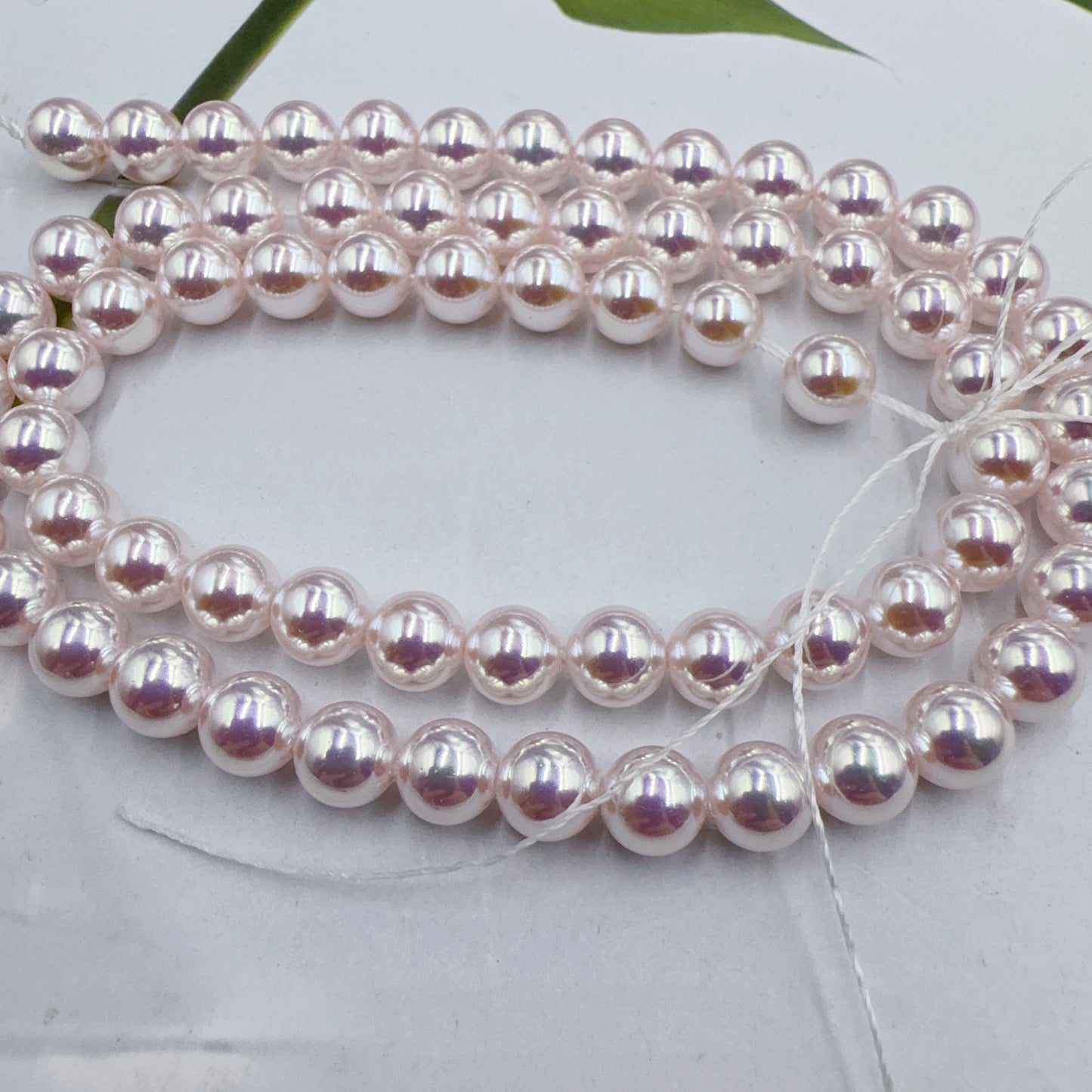 0 0今日新作  超高品質 AK級天女パール（0904）