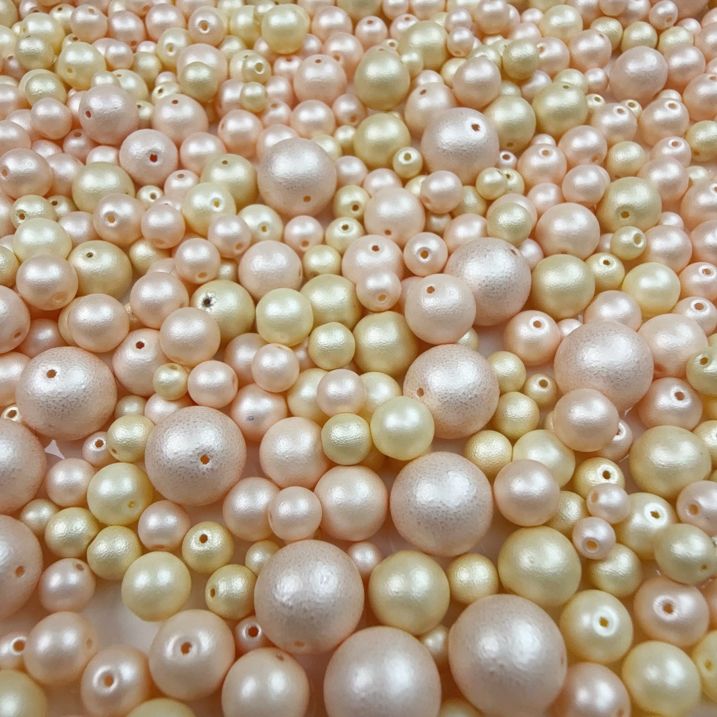 0 0今日新色 モネガーデンーパール(0929)