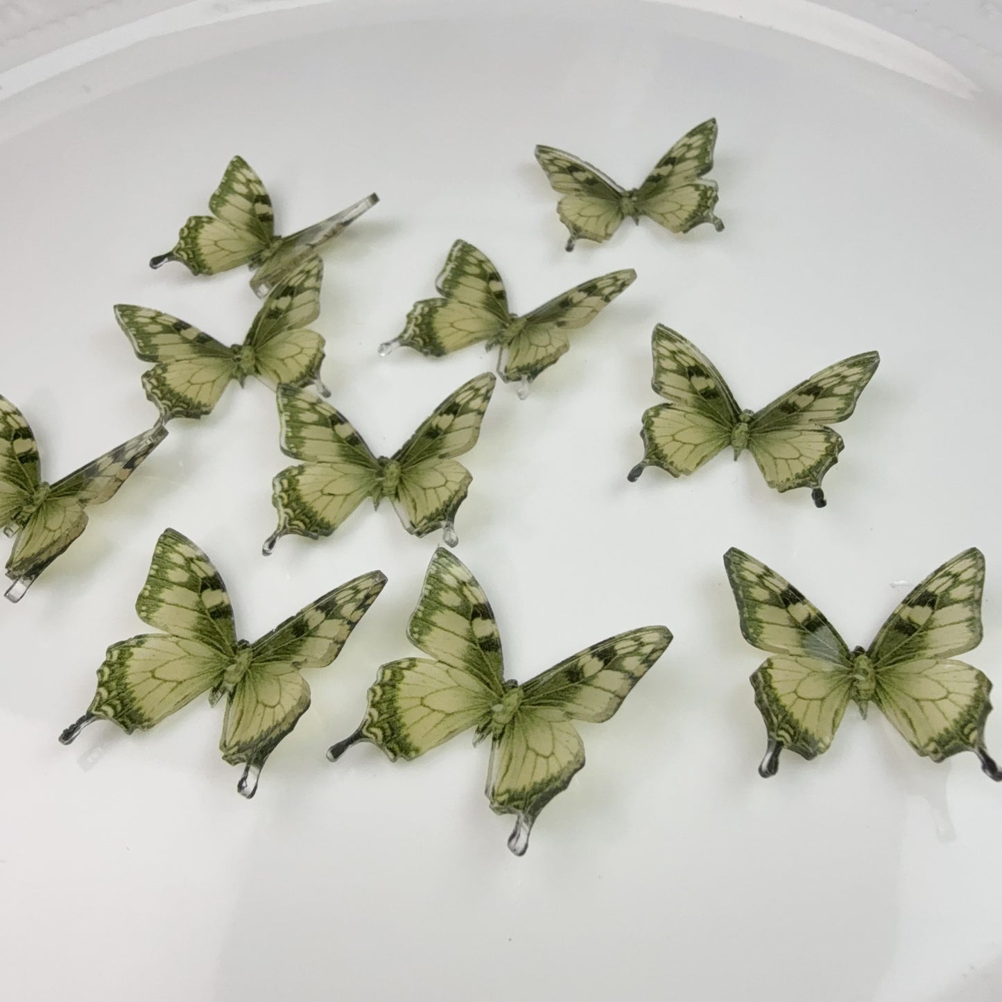 0 0今日新作 蝶々-熱収縮材 (0213)