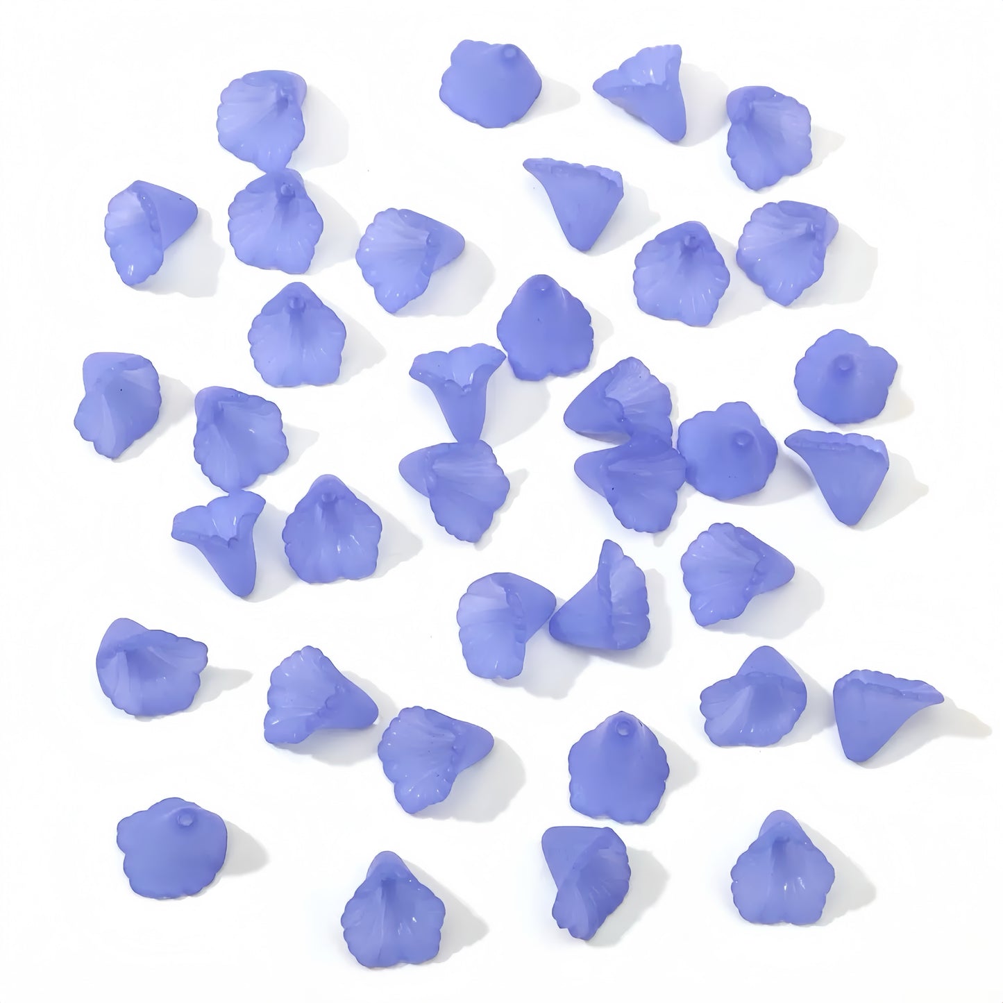 0 0今日新作 サンスベリア (0209)