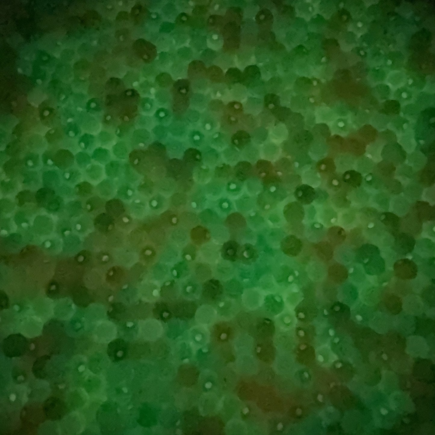 0 0今日新作 チビ薔薇 夜光効果 アクリル(0113)