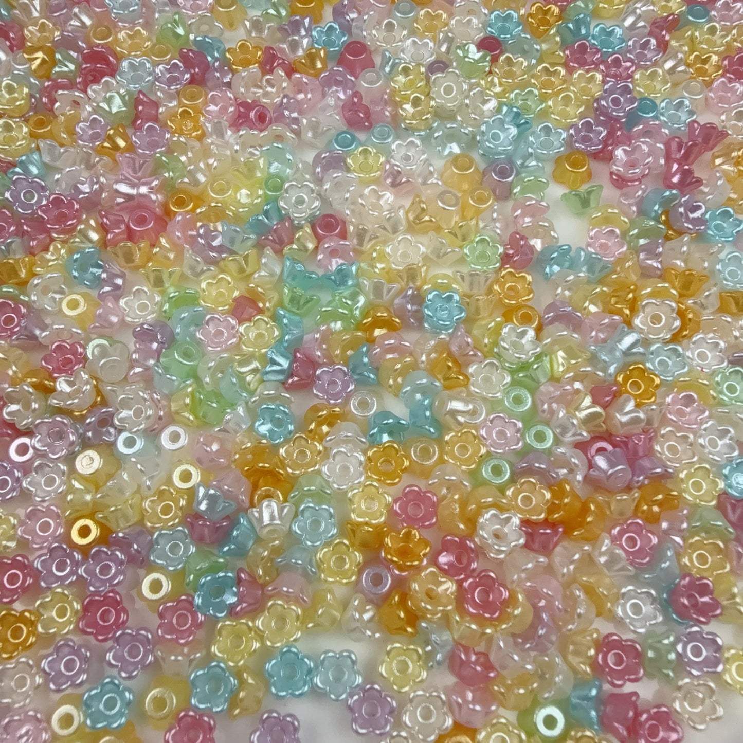 0 0今日新色 今日限定特価 チビお花(0209)