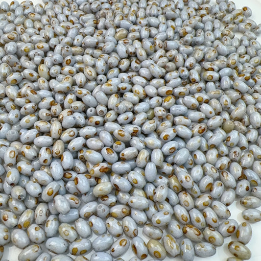 5-S ピカソー米(0305)