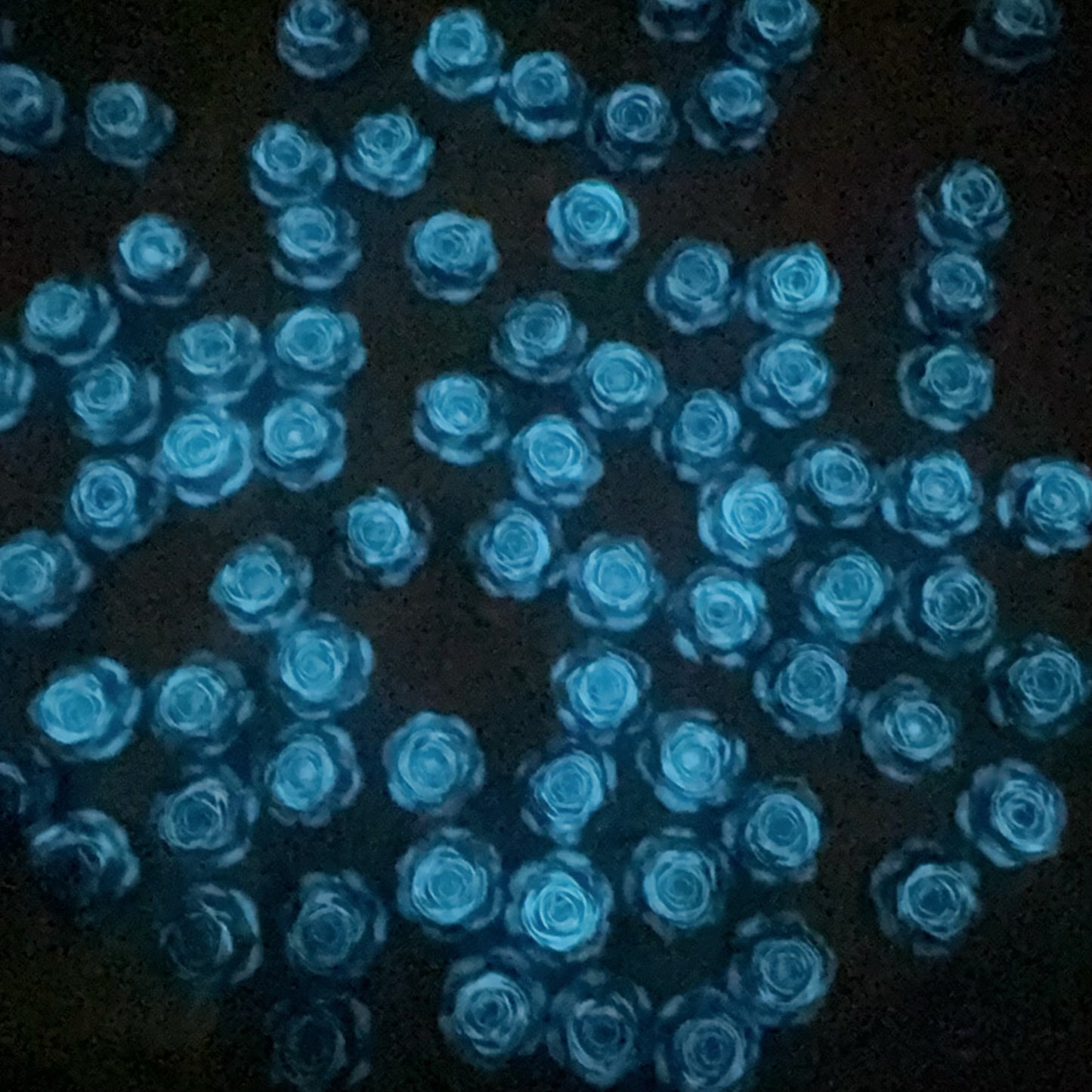 0 0今日新作 柔らかい薔薇-12ミリ 夜光効果(0126)