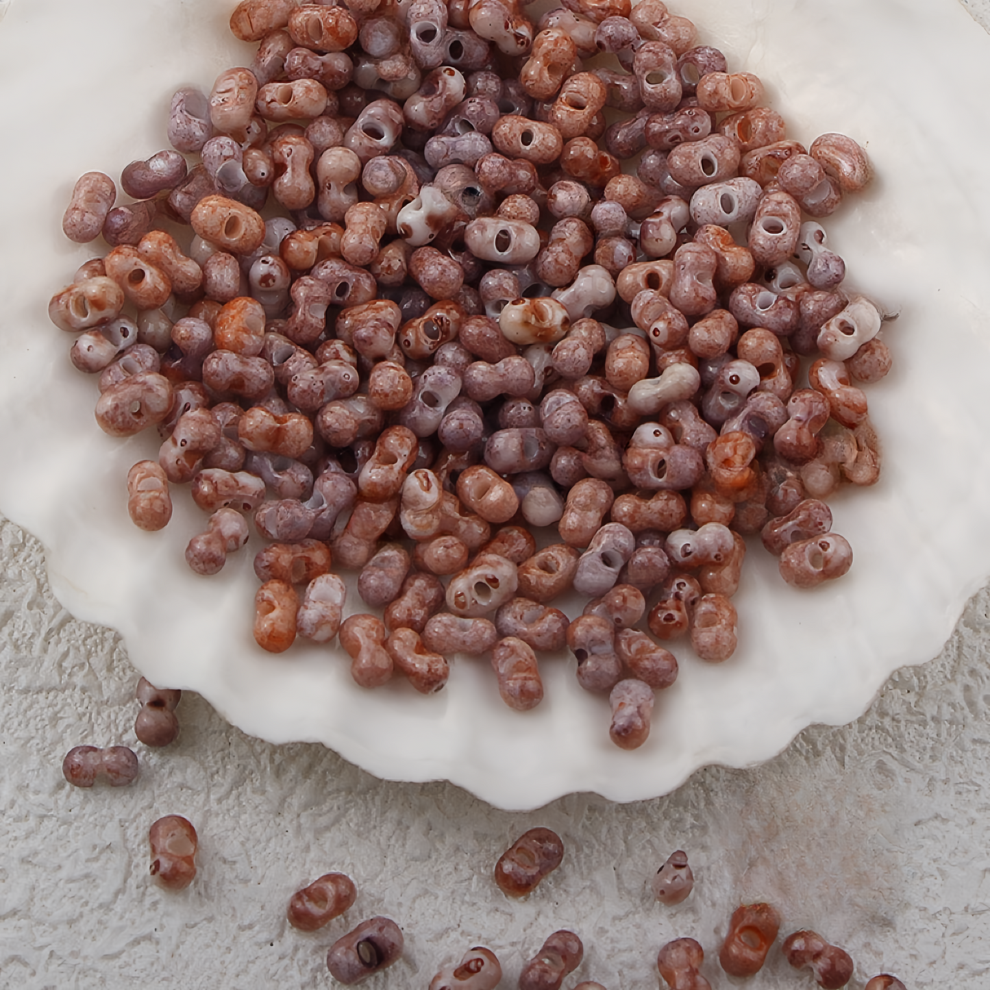 5-S ピカソーピーナッツ(0107)